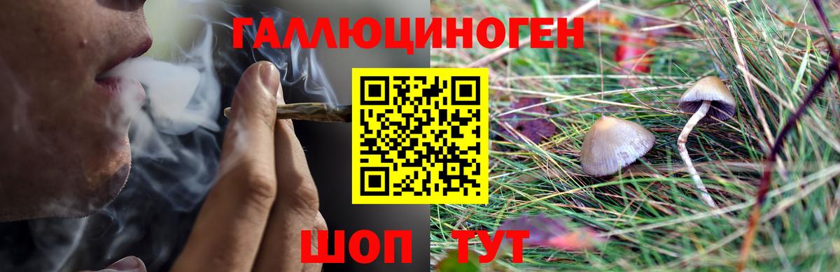 Томск  Галлюциногенные грибы Cubensis  Вход с VPN  наркошоп  Псилоцибиновые грибы прущие грибы 